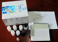 LTC4說明書 人白三烯C4ELISA試劑盒廠家——上海勁馬實(shí)驗(yàn)設(shè)備配件產(chǎn)品介紹